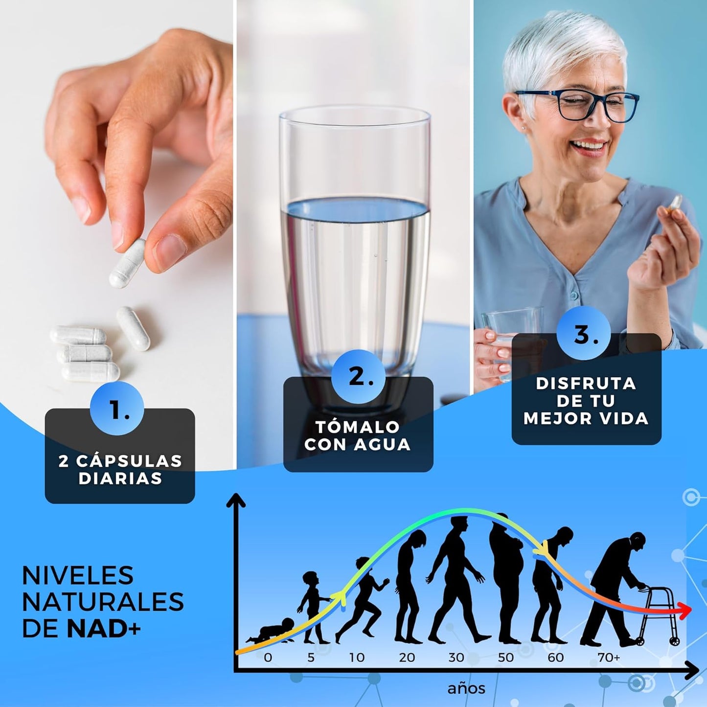 NAD, Resveratrol, Nad Resveratrol, NAD+ LIPOSOMAL,1000 mg (120 caps), Vitamin B3, TMG. Nmn Enhancement, Nicotinamide Riboside. Powerful Anti-Aging and Revitalizing Formula. High Purity. Naturgizer+