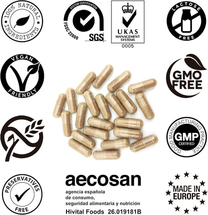 Ashwagandha 9000 mg. 180 Vegan Capsules for 6 Months of Treatment. Natural Extract from Withania Somnifera with 10% Withanolides. Indian Ginseng. Maximum absorption. Made in Spain by HIVITAL